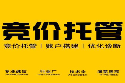 某知名企业竞价推广的全程解析